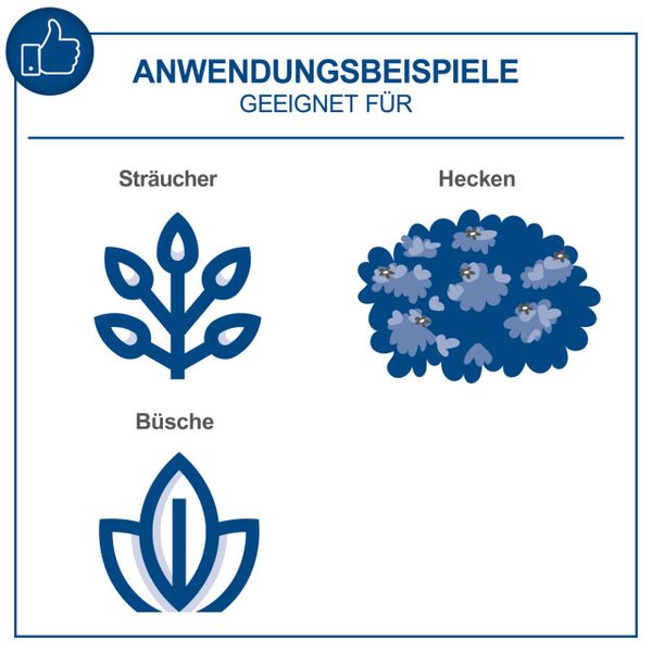 Akku-Heckenschere C-HT570-X scheppach (DIY)