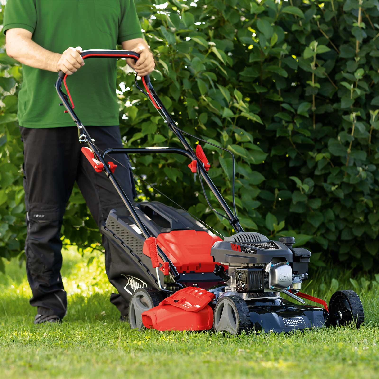 Benzin-Rasenmäher MS161-46 scheppach (DIY)