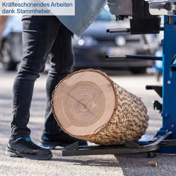 Meterholzspalter Compact 15t scheppach (DIY)