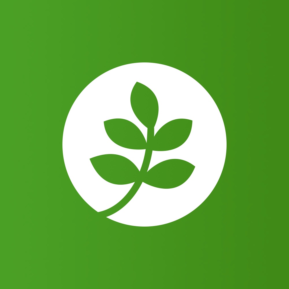 Plant tree (Donation)