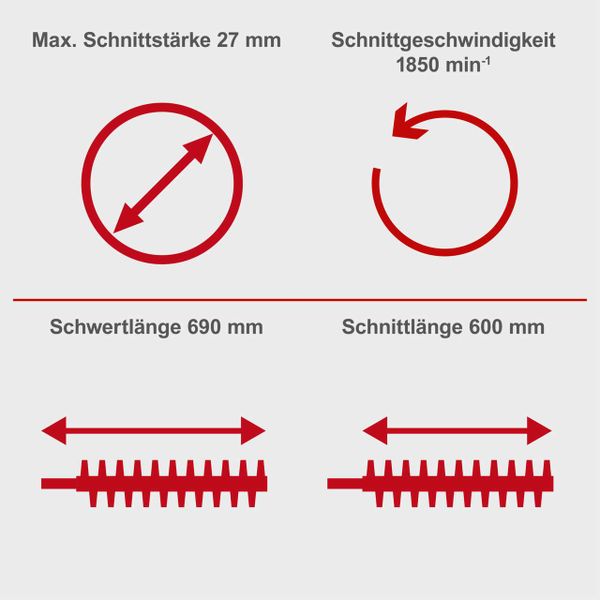 Benzin-Heckenschere HTH250/240P scheppach (DIY)