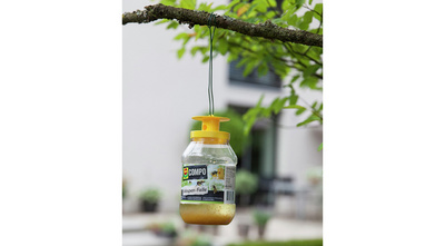 COMPO Wespenfallen-Köder, 3er Nachfüllpack