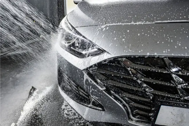 Moje Auto Insektenentferner 750 ml