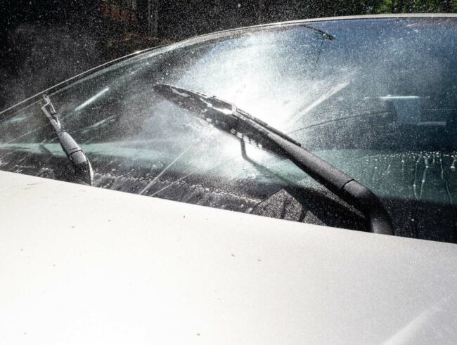 Moje Auto Sommer-Scheibenwaschflüssigkeitskonzentrat – Wald 250 ml