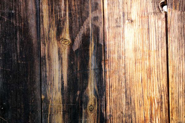 Scheppach Schleiflamellenbürste - passend für MRS1300 Satiniermaschine